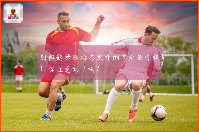 射阳鹤舞队标志设计细节全面升级！你注意到了吗？