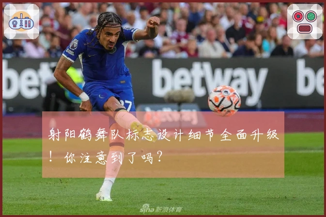 射阳鹤舞队标志设计细节全面升级！你注意到了吗？